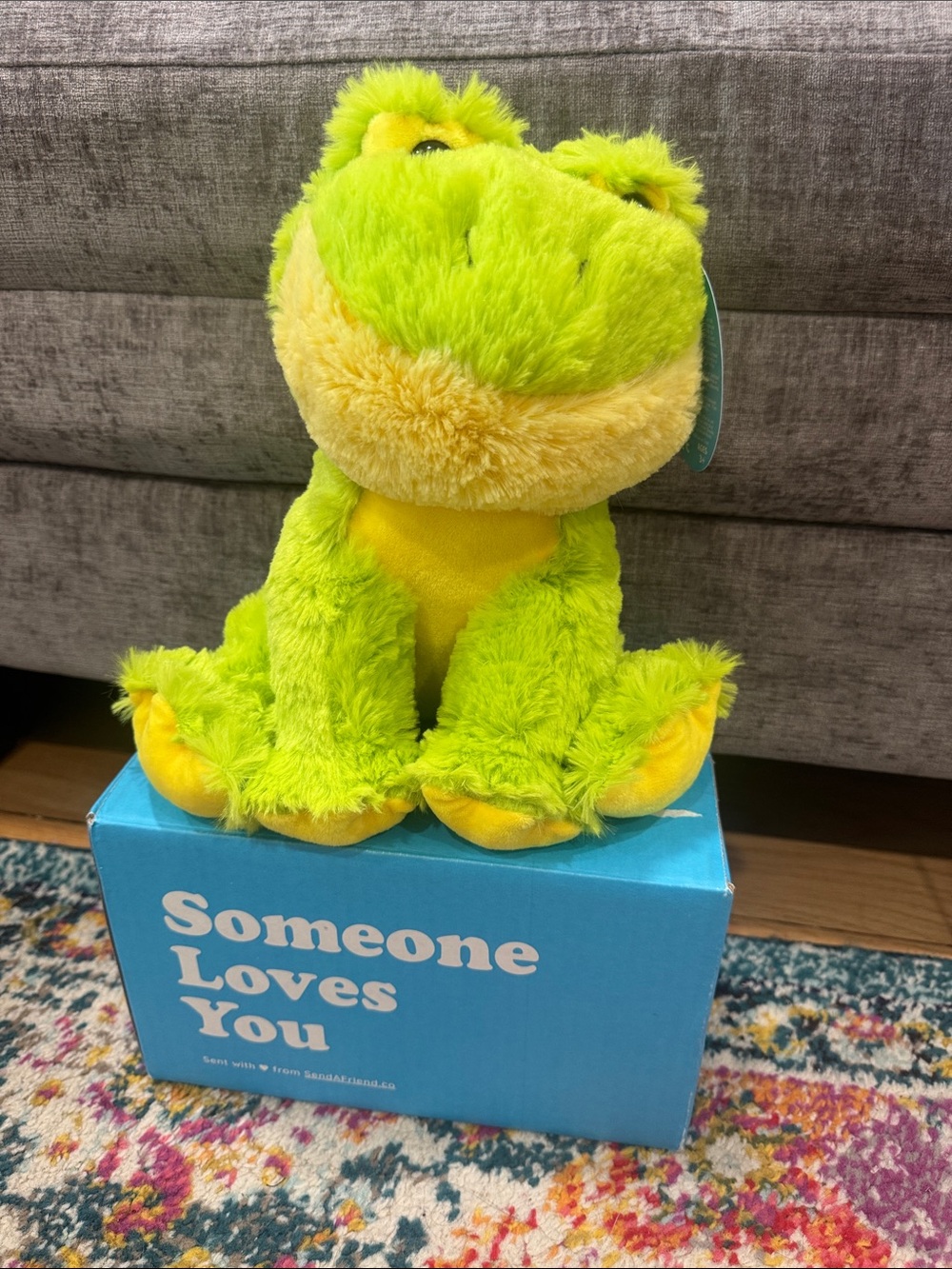 Send A Friend Plush 10” Frog